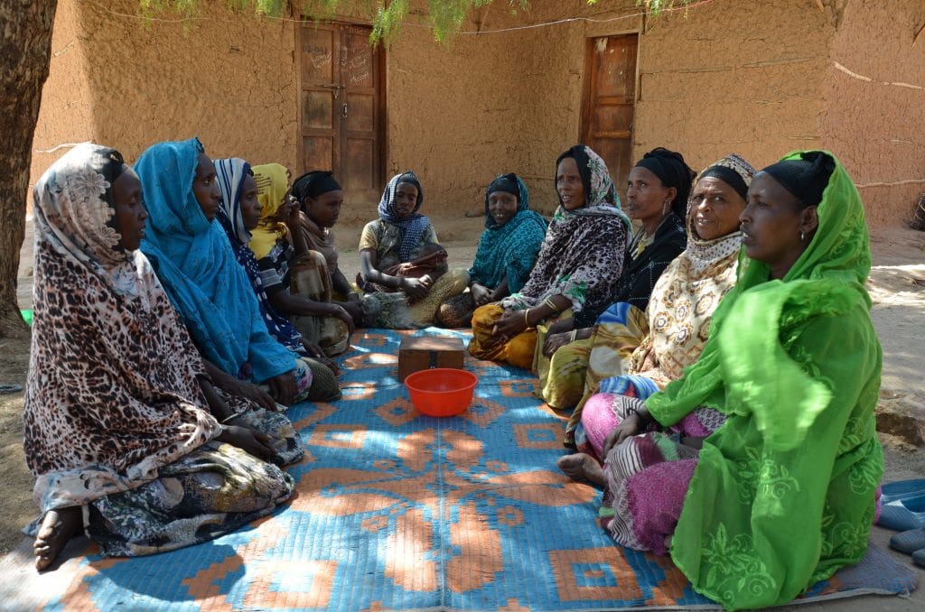 BRIEF Integration of Participatory Scenario Planning into Early