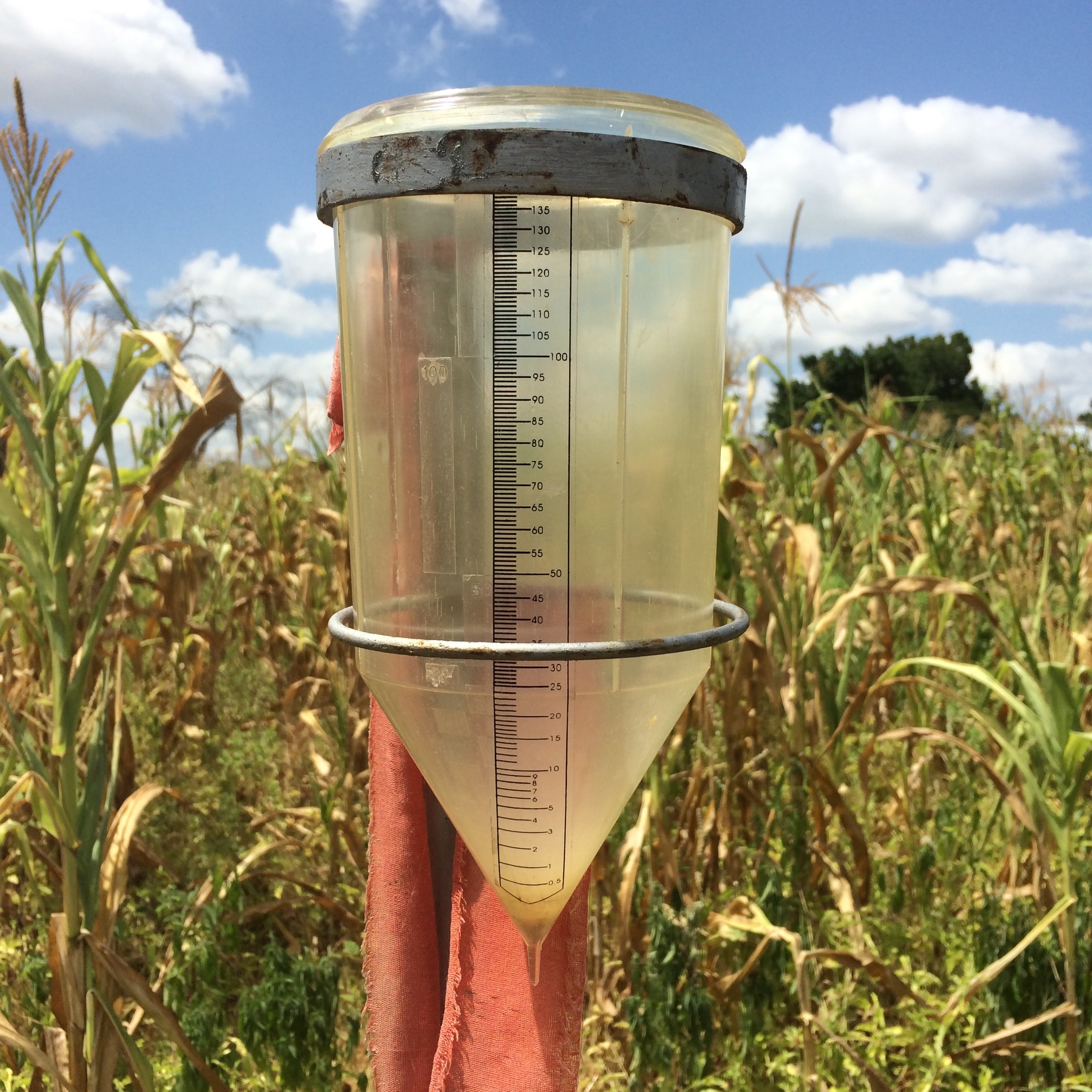 Rain Gauge Definition Examples at Linda Pruitt blog