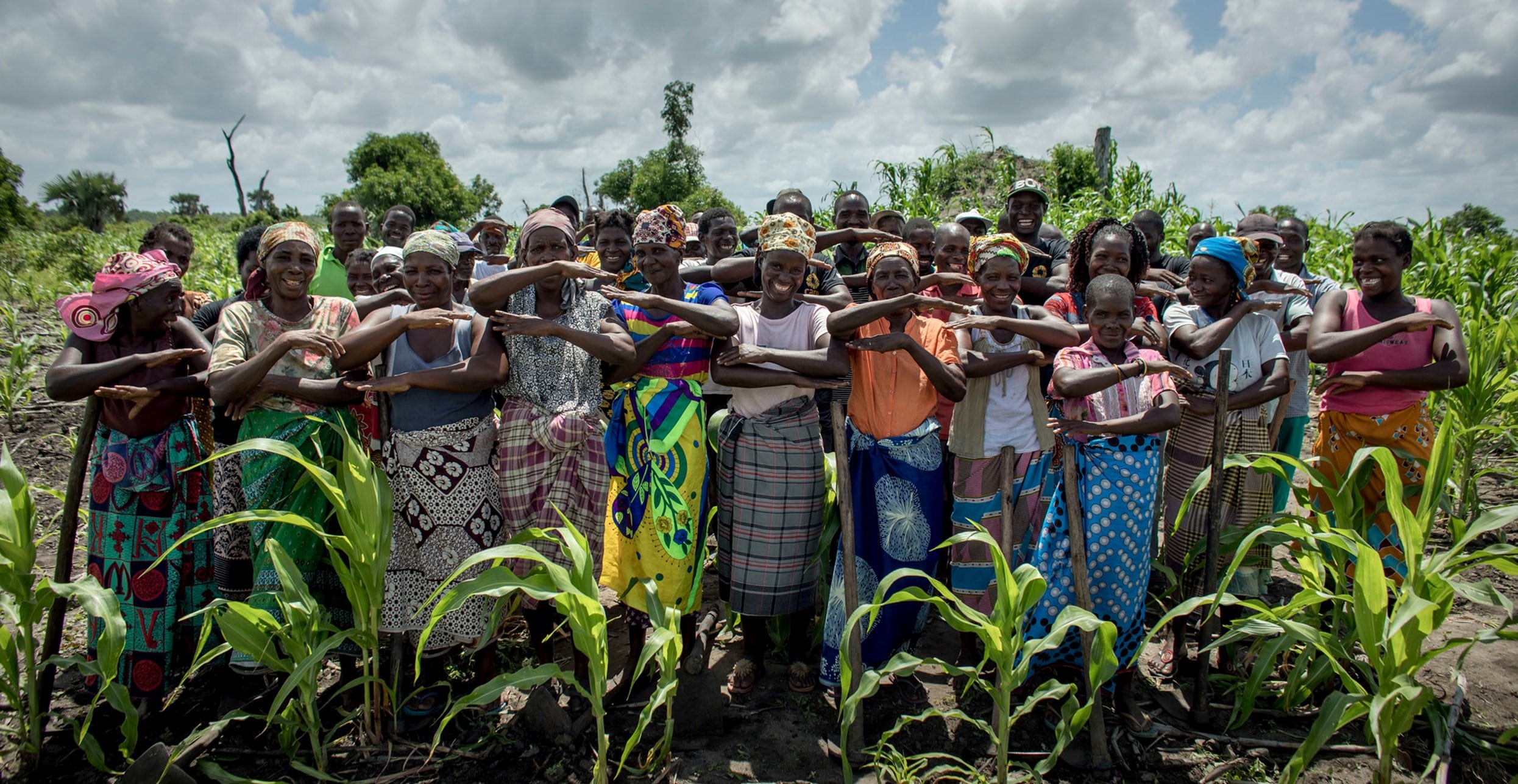 Climate and Disaster Risk Finance and Insurance (CDRFI) and Impactful ...